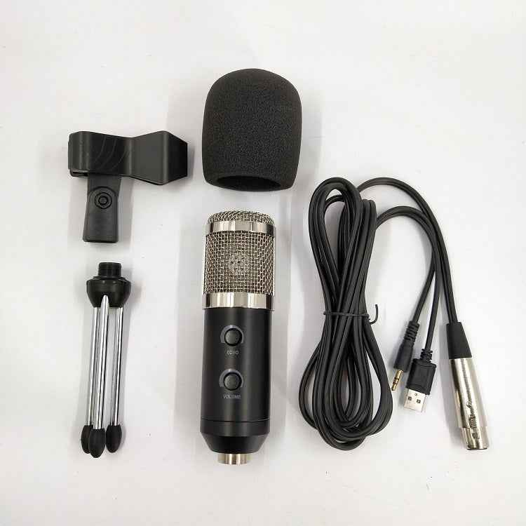Reverb BM800 Professional Studio Microphone