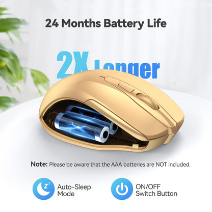 ErgoGlide Wireless: 6-Button, 2600 DPI, 24-Month Power