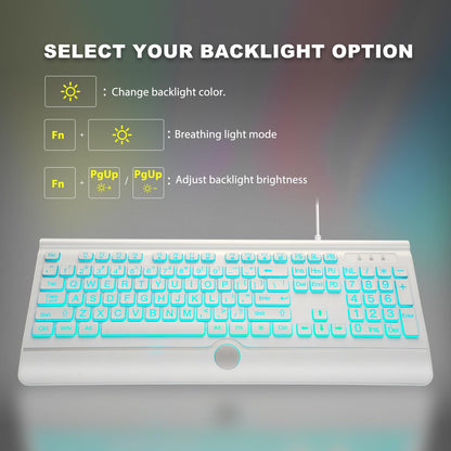 GlowType: Large Print 7-Color Backlit Keyboard