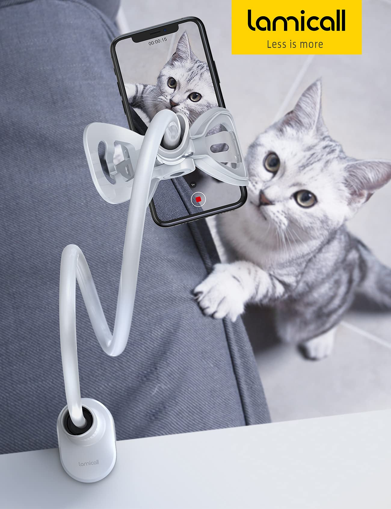 Small Enterprise {title} {type} Online Store USA