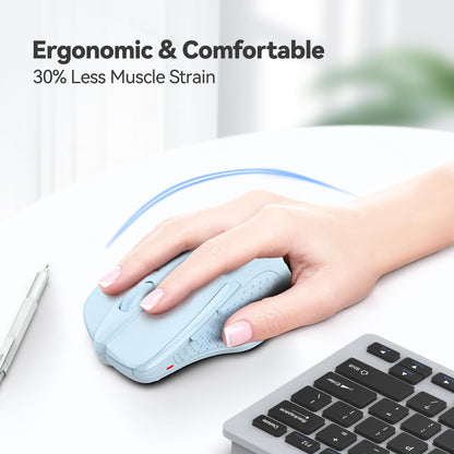 ErgoGlide Wireless: 6-Button, 2600 DPI, 24-Month Power