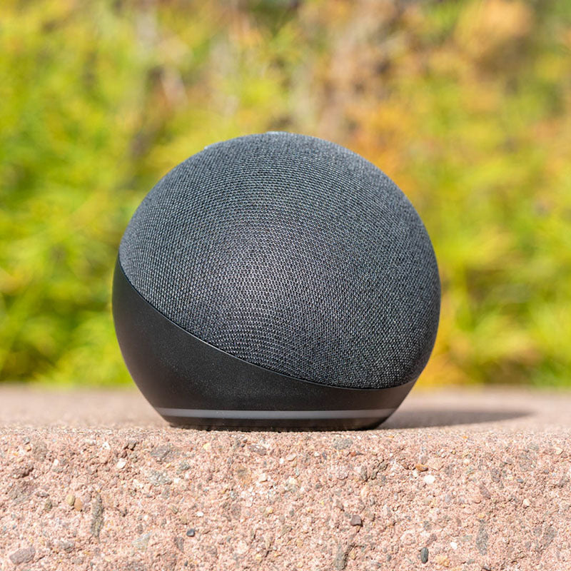 Small Enterprise {title} {type}