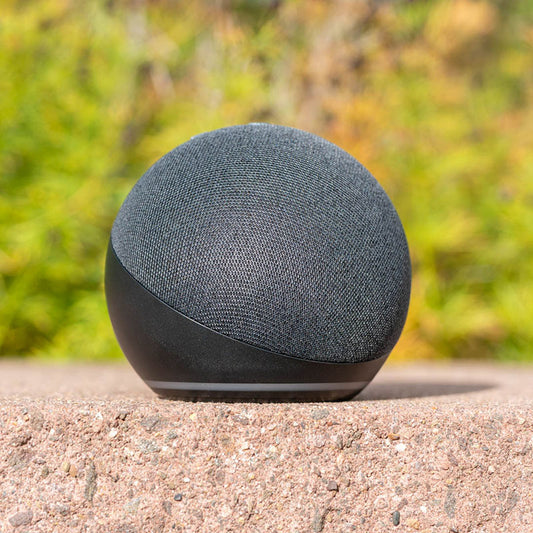 Small Enterprise {title} {type}